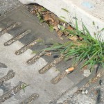 Tombini chiusini otturati