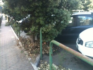via della primavera2