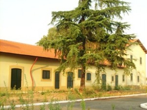 asilo nido prampolini