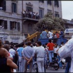 Alberone 1986 piantumazione