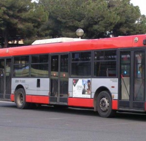 Bus