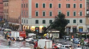 albero-caduto-alberone