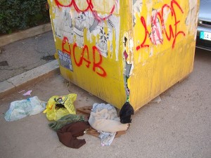 Cassonetto Giallo in via F. Ferraironi