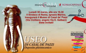 museo casal de pazzi