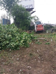 foto1 (1)