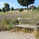 ParcoCentocelleErbaAlta