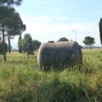 ParcoCentocelleIncuria