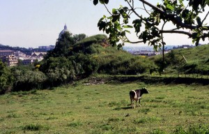 ParcoPiccolomini