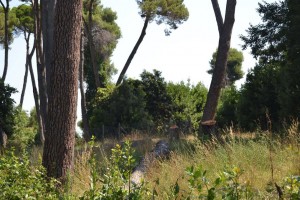 VillaAdaPinoAbbattuto