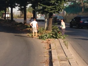 VillaDeSanctisTaglioPolloniTigli