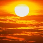 sole