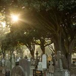 cimitero-di-glasnevin-dublino-11