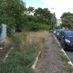 via Capellini erba alta