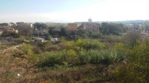 areaVerdeViaBeniaminoCostantini
