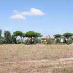 Drive in Casalpalocco