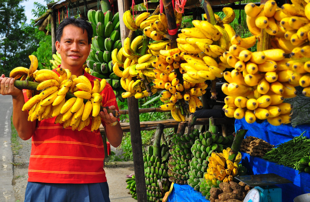 ME & BANANAS