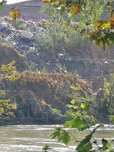 tevere magliana